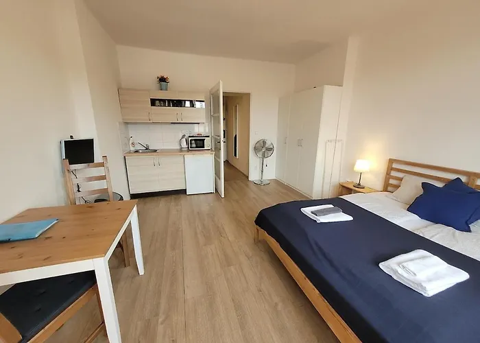 Penthouse With Terrace Apartment