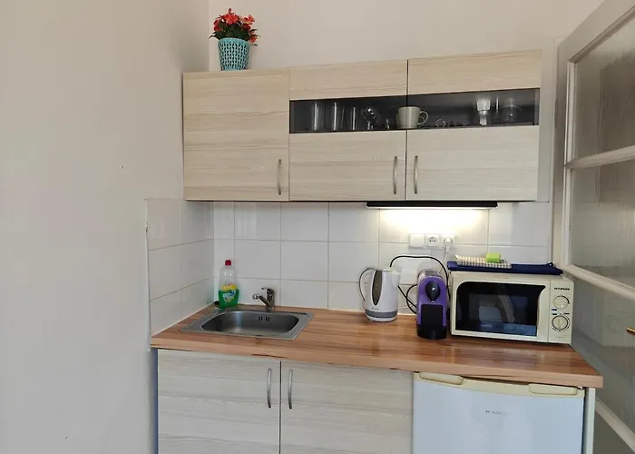 Penthouse With Terrace Apartment *