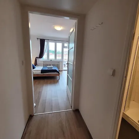 Penthouse With Terrace Praag